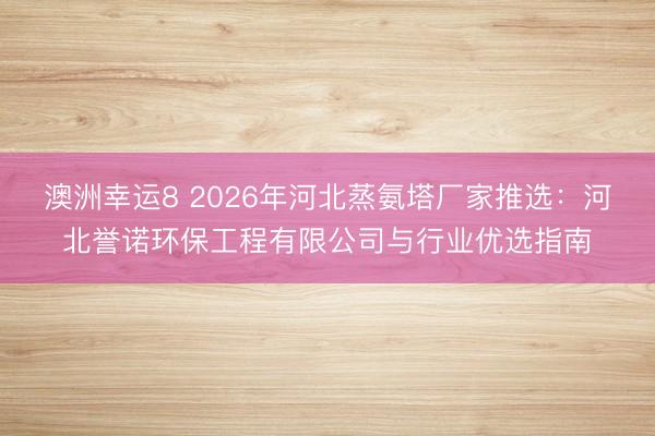 澳洲幸運(yùn)8 2026年河北蒸氨塔廠家推選：河北譽(yù)諾環(huán)保工程有限公司與行業(yè)優(yōu)選指南