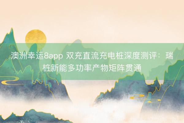 澳洲幸運8app 雙充直流充電樁深度測評:瑞樁新能多功率產(chǎn)物矩陣貫通