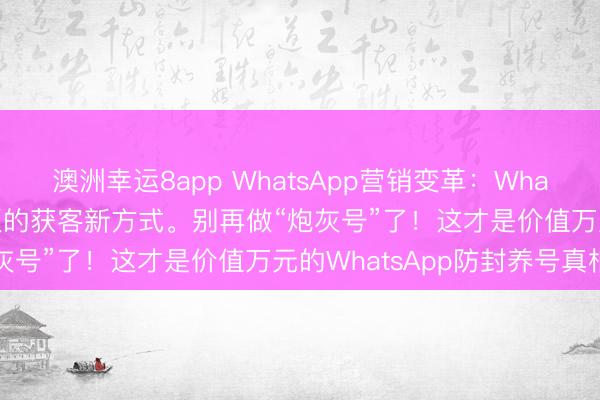 澳洲幸運8app WhatsApp營銷變革:WhatsApp磐石系統外貿老板的獲客新方式。別再做“炮灰號”了!這才是價值萬元的WhatsApp防封養號真相