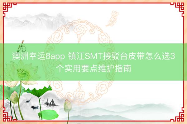 澳洲幸運8app 鎮江SMT接駁臺皮帶怎么選3個實用要點維護指南