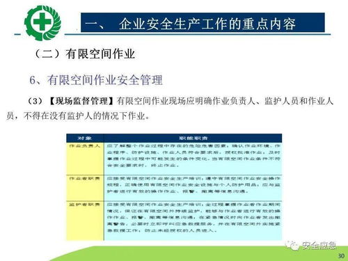 生產(chǎn)經(jīng)營(yíng)單位安全生產(chǎn)檢查 內(nèi)容、程序、方法及網(wǎng)絡(luò)技術(shù)服務(wù)的應(yīng)用